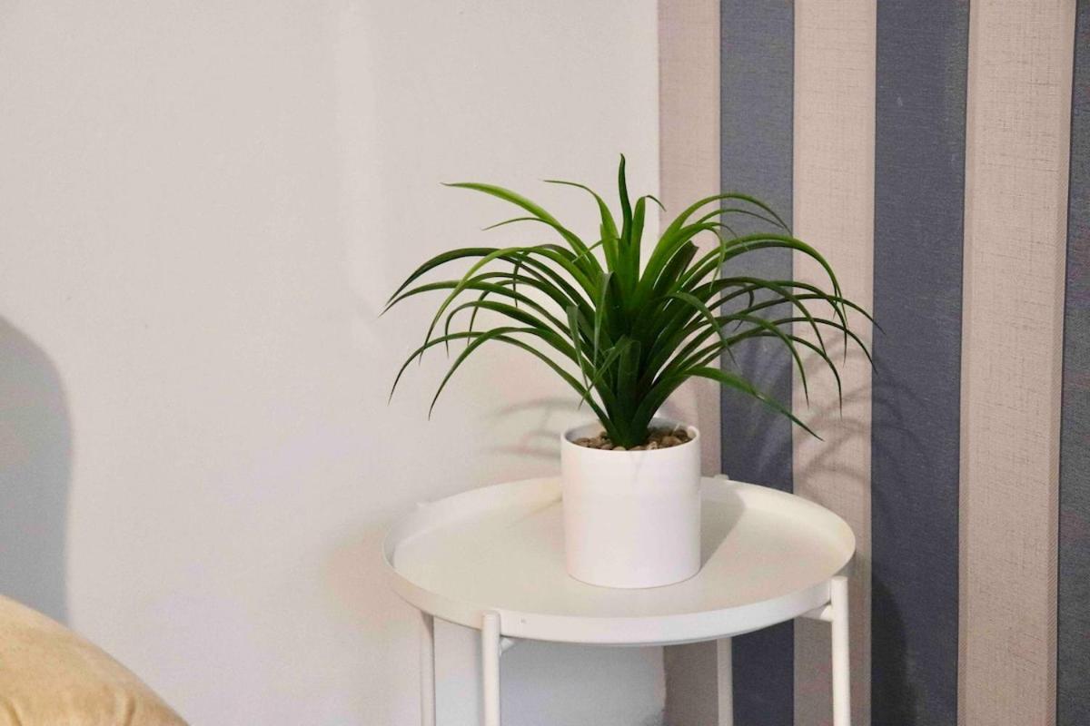 Entire Family Vacation . Wifi . Free Parking Appartement